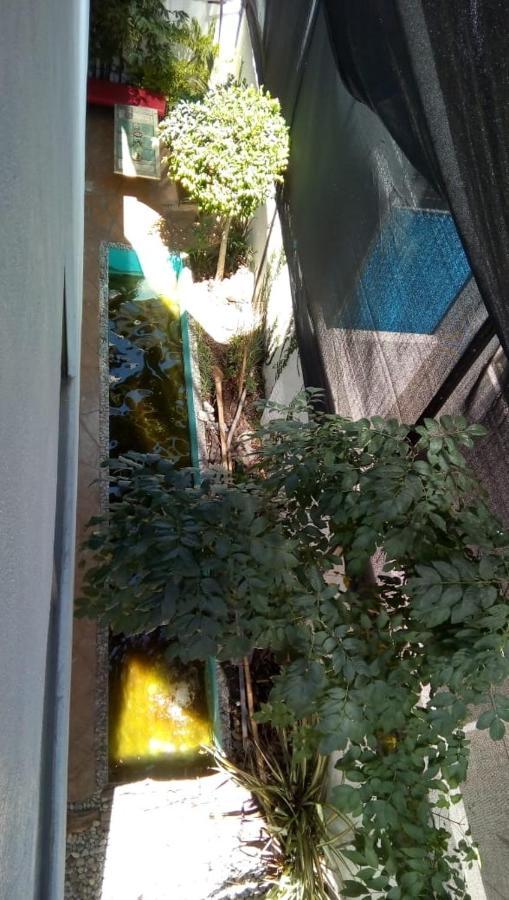 Hotel Casa Zen Pachuca Zewnętrze zdjęcie